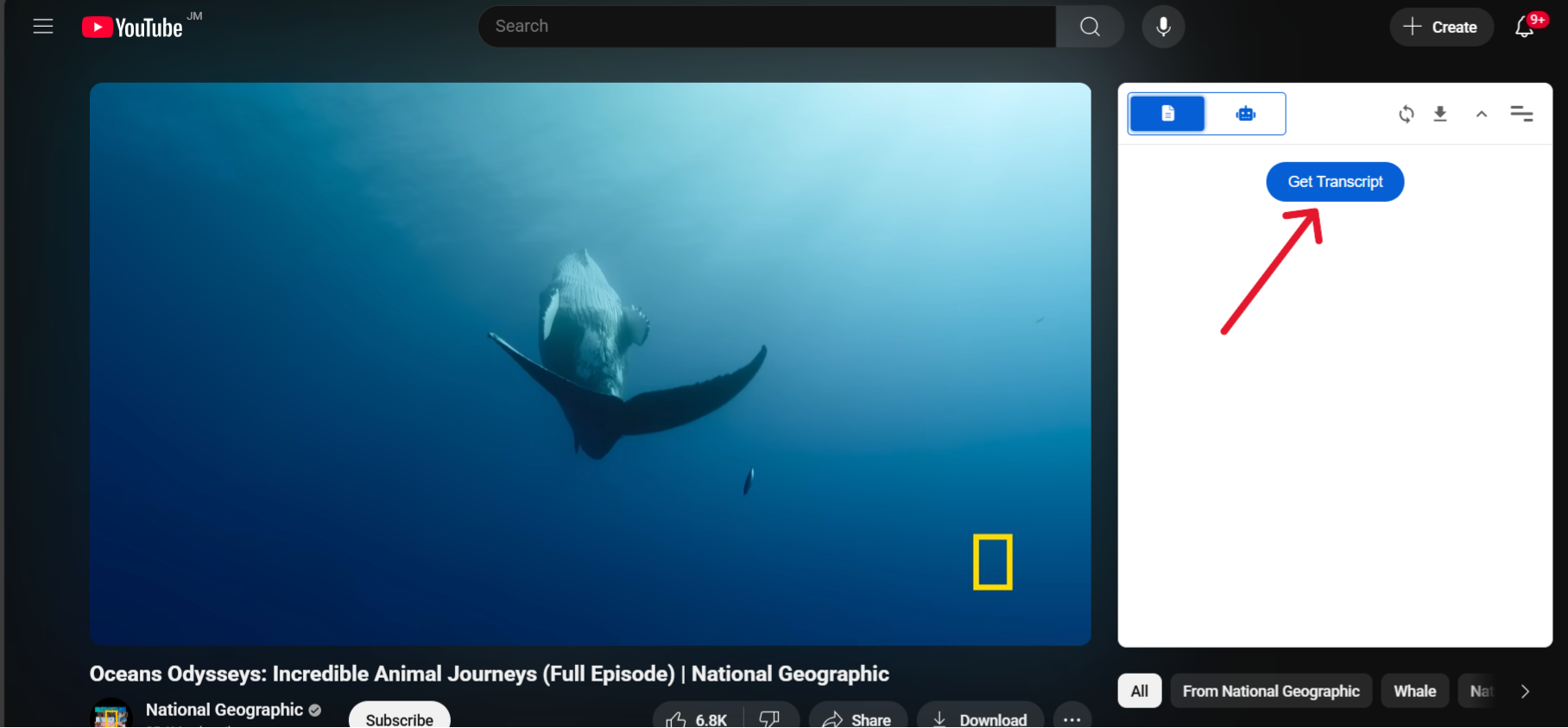 Get Transcript button and area
