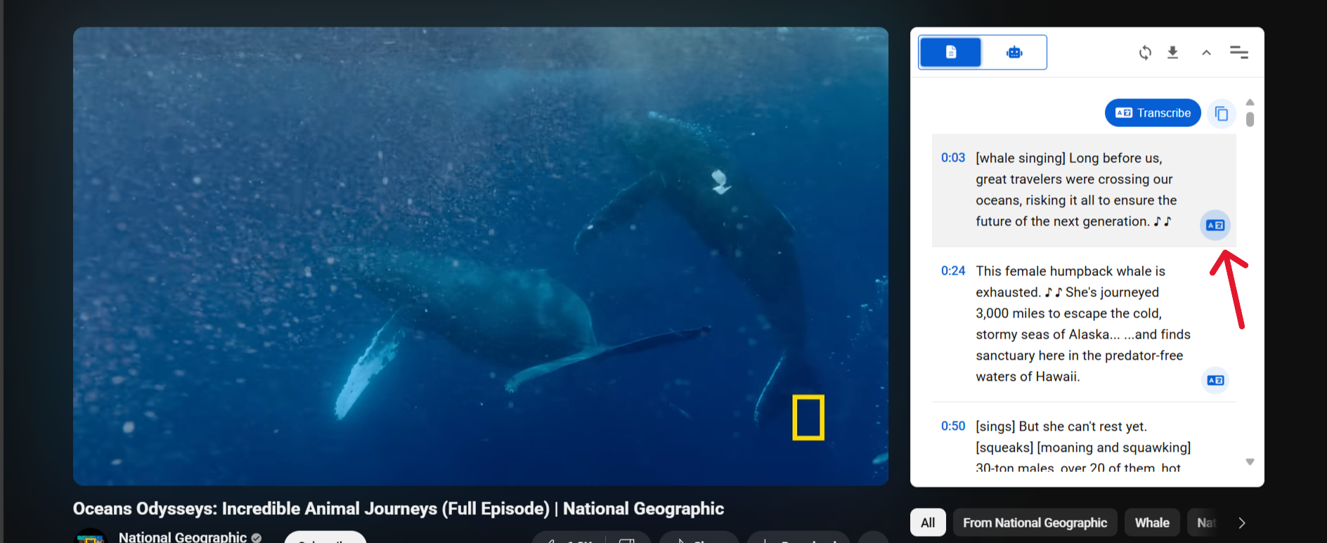 Translate a single transcript segment using the bottom-right icon