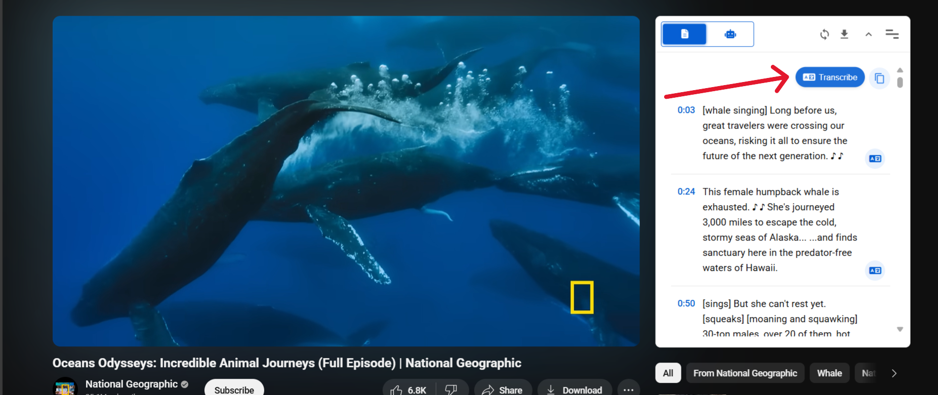 Translate the entire transcript using the top Translate button next to Copy