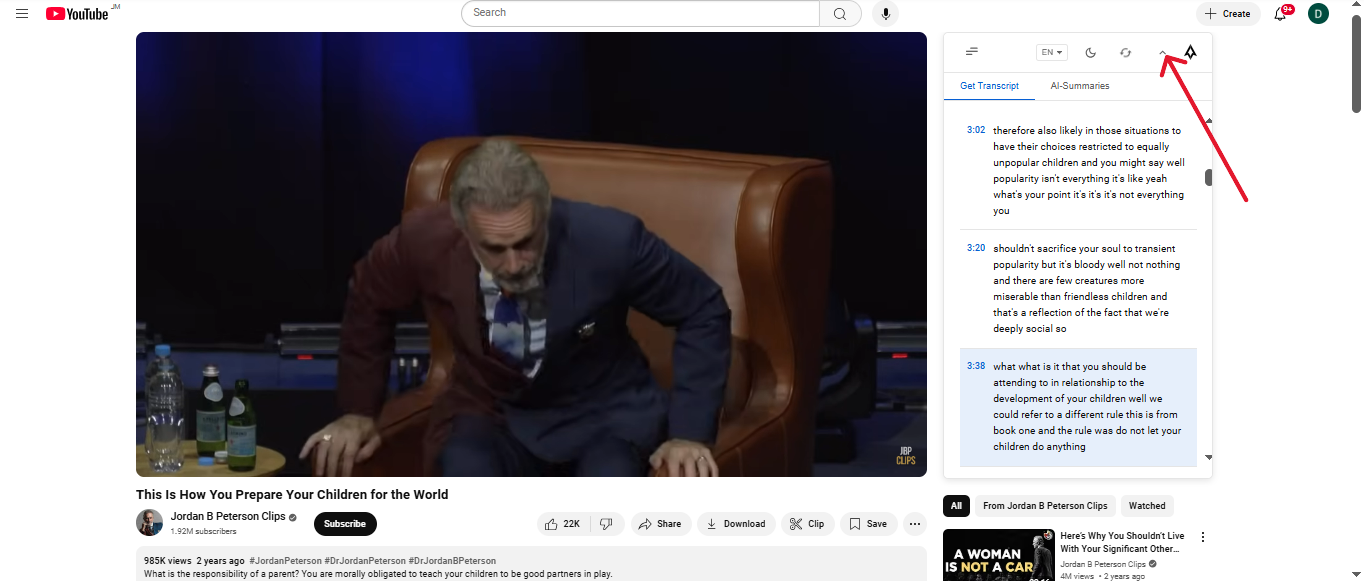 Collapse and expand transcript panel